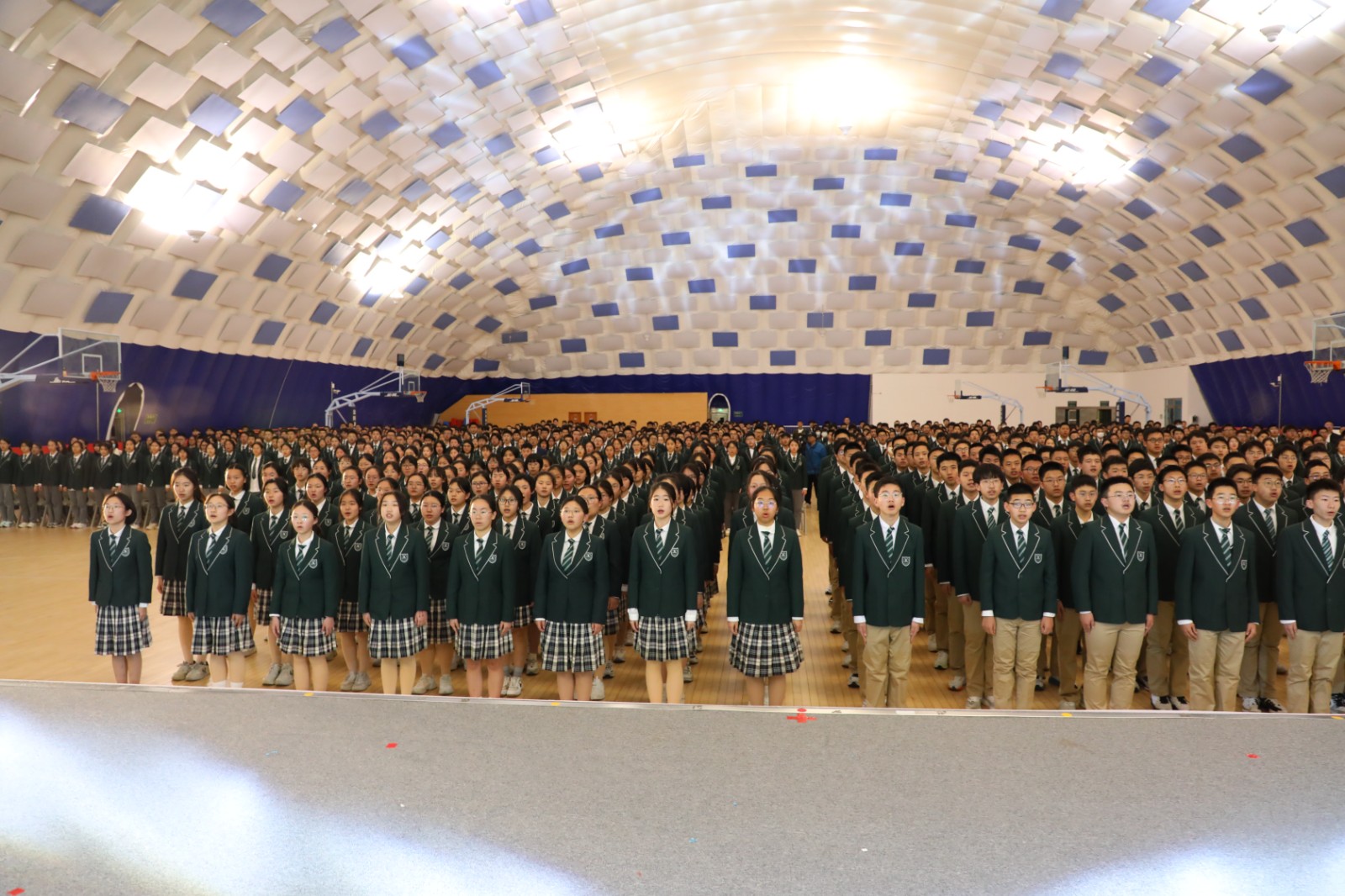 1741656977651503.jpg 1741656977651503.jpg