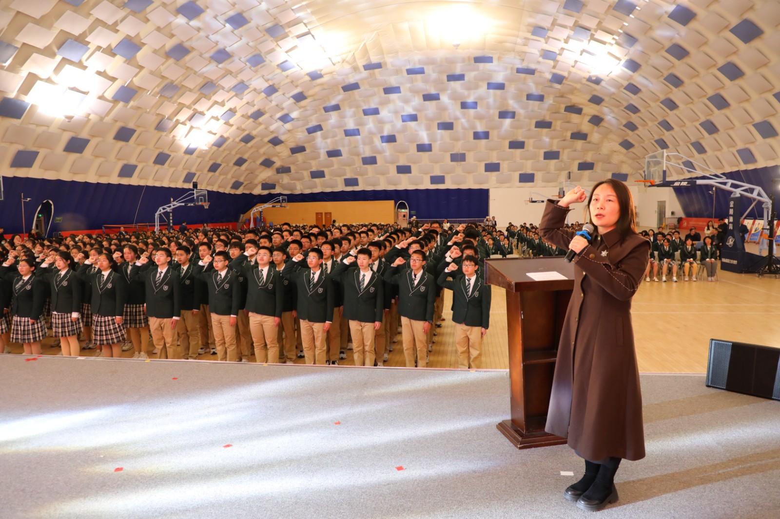 1741657044725378.jpg 1741657044725378.jpg