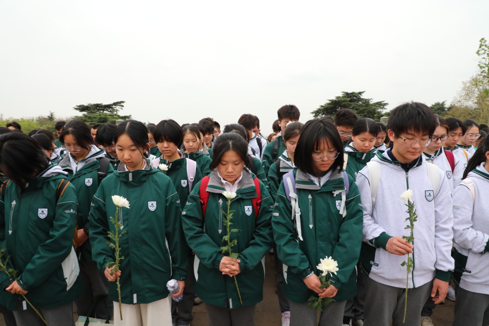 1744008414943644.jpg 1744008414943644.jpg