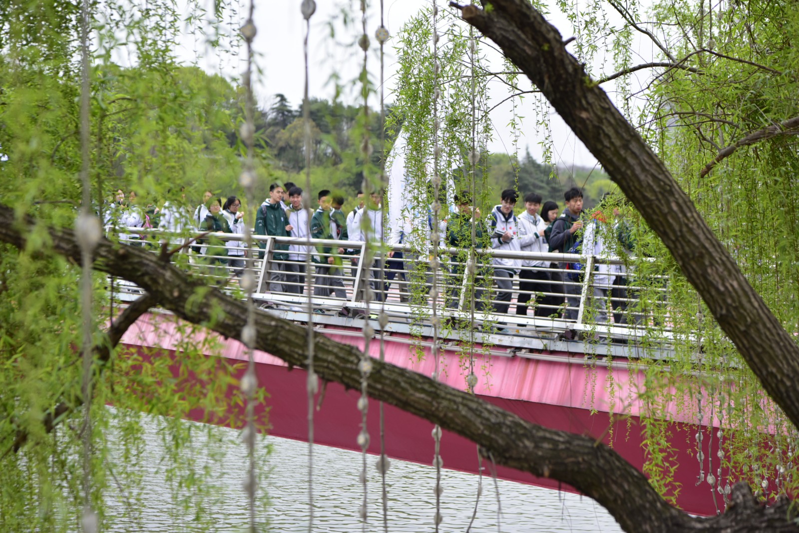 1744008472115301.jpg 1744008472115301.jpg