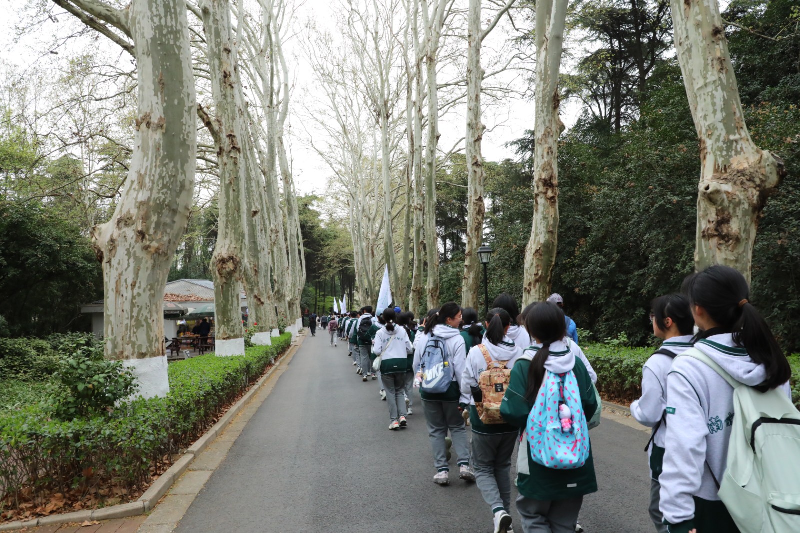 1744008472156348.jpg 1744008472156348.jpg