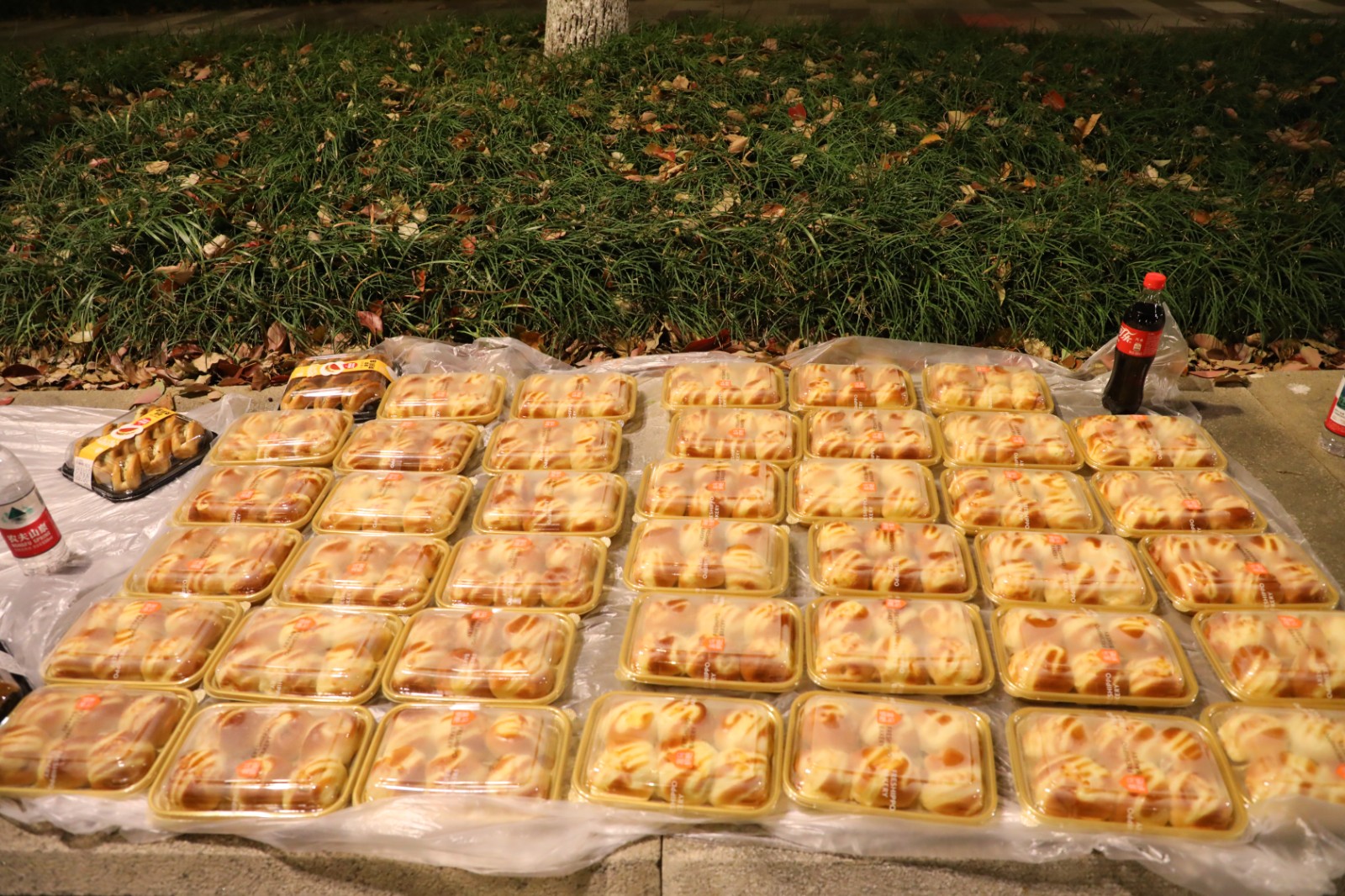 1744008652179488.jpg 1744008652179488.jpg