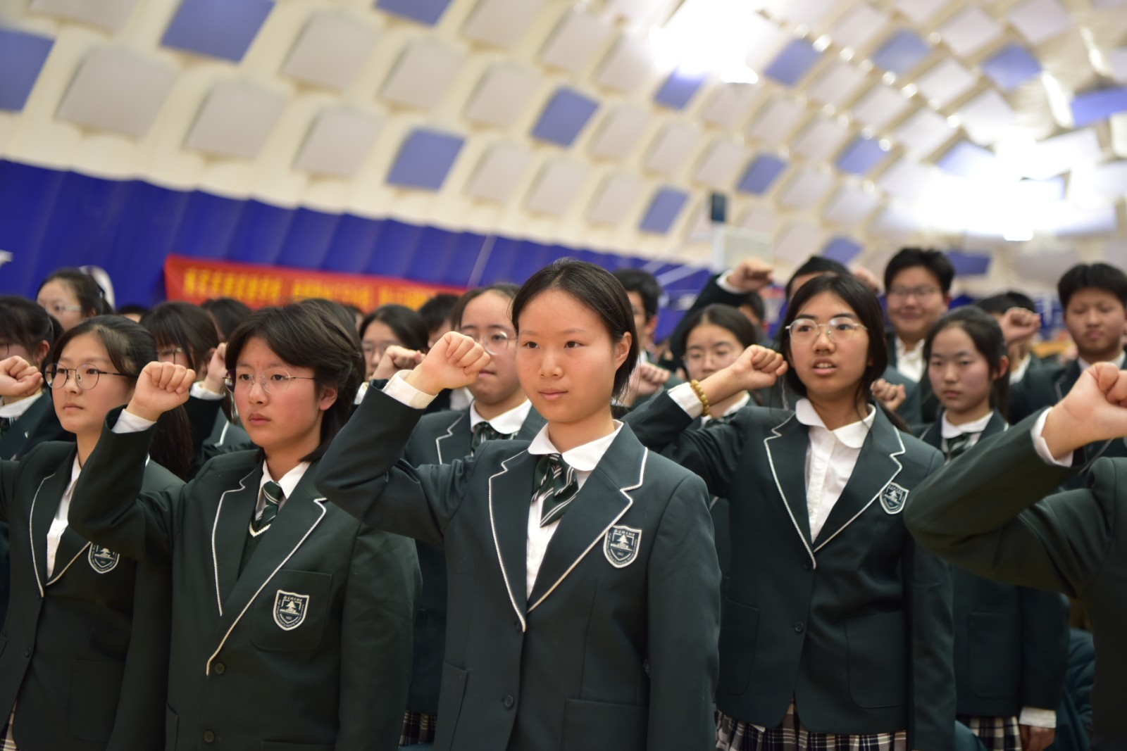 1773652144331794.jpg 1773652144331794.jpg