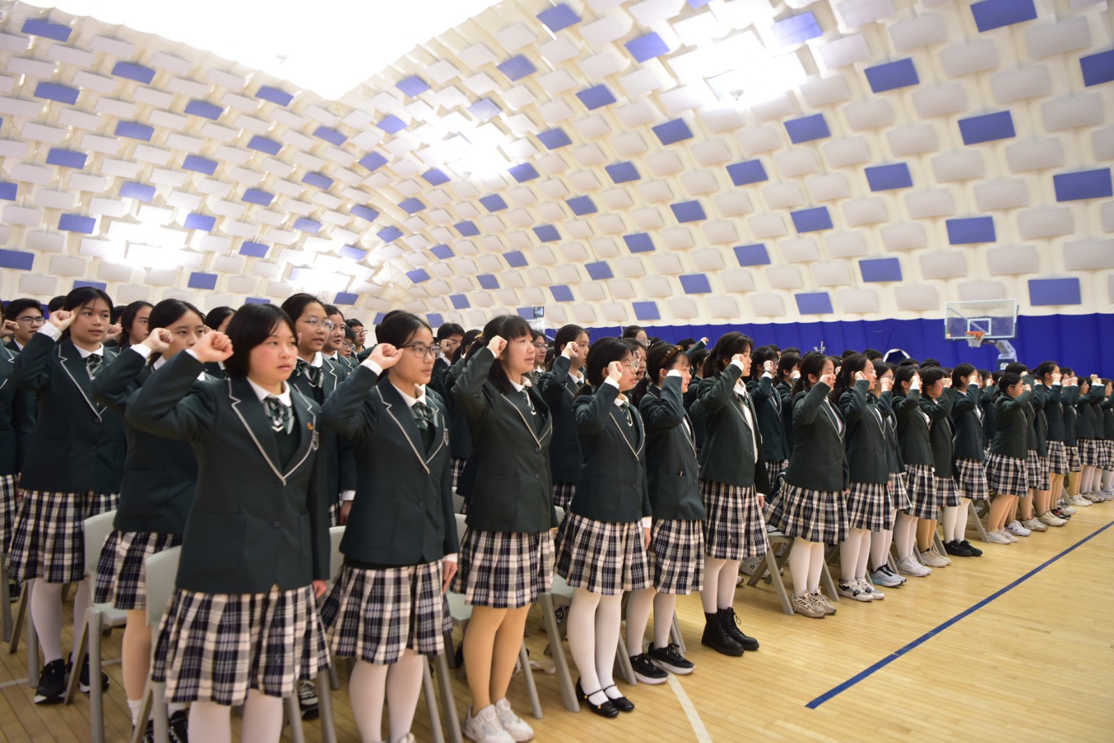 1773652144388793.jpg 1773652144388793.jpg